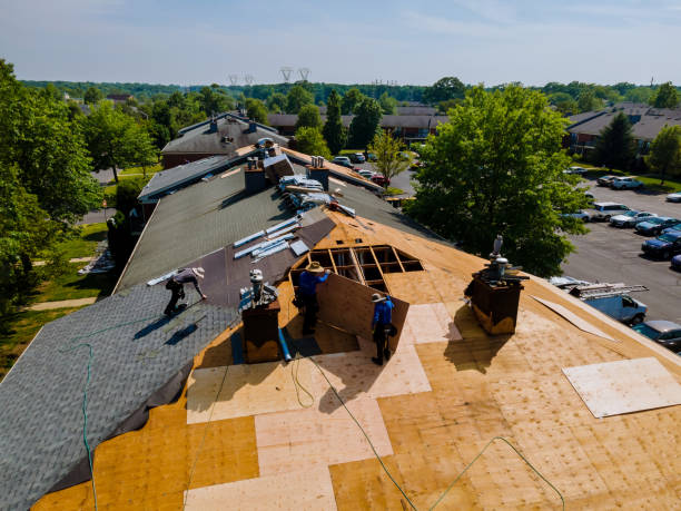Best Commercial Roofing Services  in New Rockford, ND