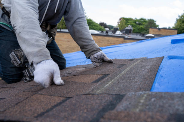 Best Roof Restoration Services  in New Rockford, ND