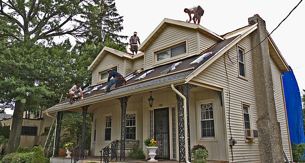 Best Flat Roof Repair Services  in New Rockford, ND