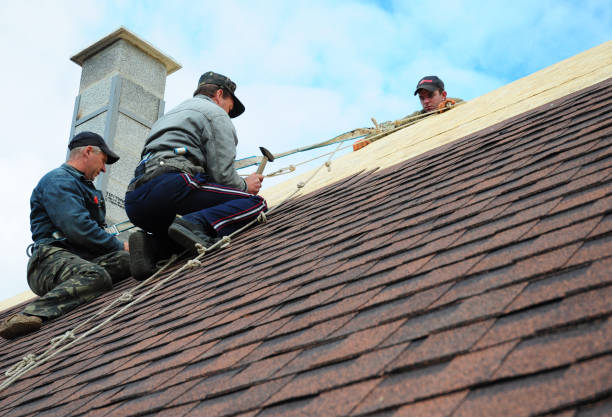 Best Residential Roof Replacement  in New Rockford, ND